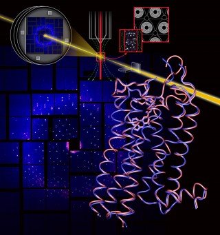 Science_GPCR_XFEL_1