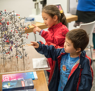 Curious litle "scientists".