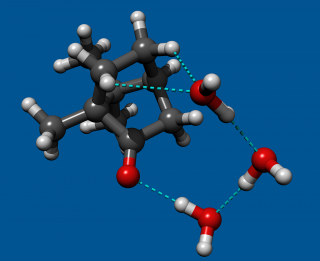 camphor1024