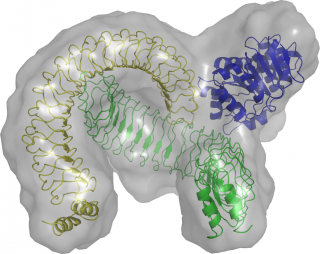 Figure1