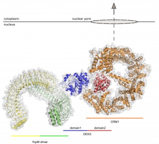 Figure2